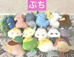 つぶらな瞳の鳥　ぷち　全15種セット