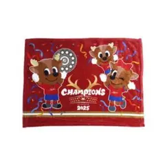 【新品】鹿島アントラーズ J1 2025シリーズ優勝記念　サイン ブランケット 新品☆鹿島アントラーズ2025優勝記念ブランケット - メルカリ