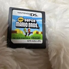 ニンテンドーDS NEWスーパーマリオブラザーズ ニュースーパーマリオブラザーズ
