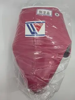 Item thumbnail for item 702b678f-7b11-485a-bb81-f8966087499c