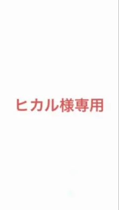 ヒカル様専用