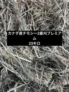 Item thumbnail for item d1cbe3c3-dba1-4574-aa66-0e7d2097bae0