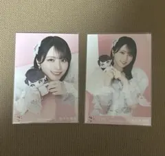 佐々木舞香 モーリーファンタジー 生写真