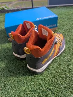 Item thumbnail for item 3644cf58-c2b9-404c-84c0-3575066a6e26