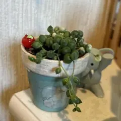 louie様 リクエスト 2点 まとめ商品