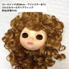 ビスクドール用モヘアウィッグ(10〜11)ブロンド FB14号用 - メルカリ