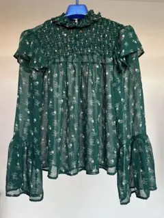 ZARA 花柄シフォン長袖ブラウス