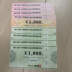 ビックカメラ、コジマ　株主優待券　8000円