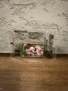 ポケモンフレンダ 　あたりキャンペーン　テツノイワオ×2