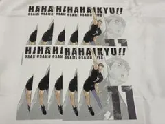 ハイキュー 宮治 ポスカ