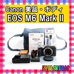 Item thumbnail for item 2993f8c7-aea6-40e2-b4f1-599262cc19dd