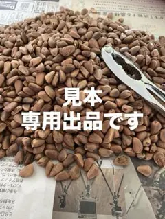 ￼朝鮮五葉松　殻付き松の実2キロその他 2025年最新】朝鮮五葉松の人気アイテム - メルカリ