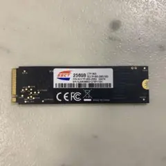 SSCT CTP-900 256GB M.2 SSD