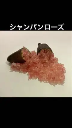 柑橘2年生 フィンガーライム接木苗／シャンパンローズ 樹高80cm 撮影品