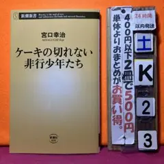 ケーキの切れない非行少年たち　宮口幸治