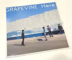稀少 レコード〔 GRAPEVINE - 退屈の花 〕グレイプバイン - メルカリ