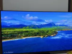 Panasonic 55LZ1800 使用半年【引き取り限定】 Panasonic 55LZ1800 使用半年【引き取り限定】 Panasonic