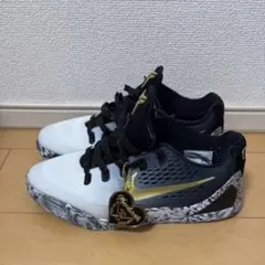 Nike GS Kobe 9 Low "Mambacita"