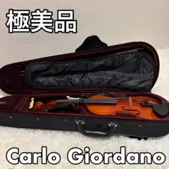 2026年最新】カルロジョルダーノ vsの人気アイテム - メルカリ