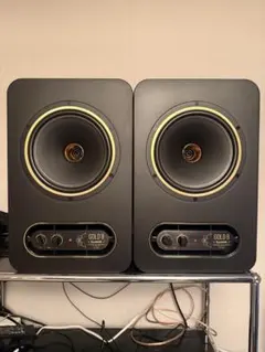 2026年最新】tannoy goldの人気アイテム - メルカリ