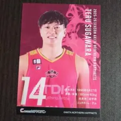 秋田ノーザンハピネッツ菅原暉選手 トレーディングカード