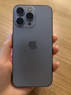 Apple iPhone 13 Pro 256GB