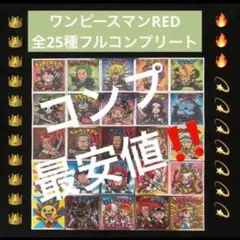 149⭐️《東日本限定ver 全25種コンプ》ワンピースマンRED ビックリマン