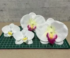 ホワイト　コチョウラン　ミニ胡蝶蘭　ヘッドパーツ　七五三　ブライダル　成人式