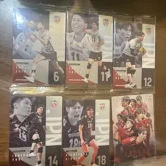 バレーボール日本代表 トレーディングカード 6枚セット