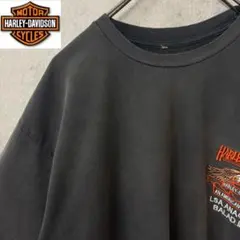 【激レア】ハーレーダビッドソン　Tシャツ　ゆるだぼ　完売モデル　刺繍　ビッグロゴのサムネイル