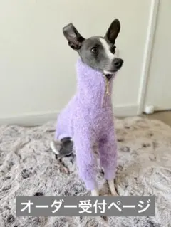 2025年最新】グレーハウンドの人気アイテム - メルカリ