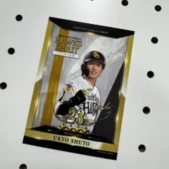 Item thumbnail for item 925bbb1d-da4d-414d-9d0a-2e9a955a82b8