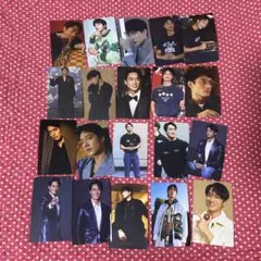 劉俊謙 テレンスラウ コレクションカード20枚セット