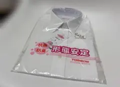 Item thumbnail for item 689e0863-2904-4dec-b63b-2831fef0d911