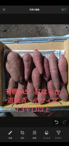 有機JAS認定！皮まで美味しい！追熟済み紅はるか小サイズ箱込み1.4キロ以上