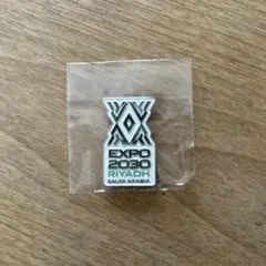EXPO 2030 リヤド ピンバッジ