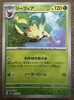 2025年最新】リーフィアex マスターボールの人気アイテム - メルカリ