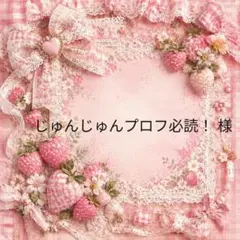 じゅんじゅんプロフ必読！　様