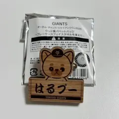 オータム・チャンス・ジャイアンツくじ 井上温大