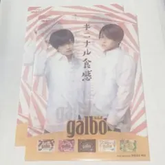 ふまけん ガルボ コラボ クリアファイル 2枚