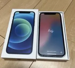 Apple iPhone 12 mini 128GB ブルー 箱付き