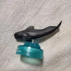 マゴンドウ 「黒潮コメッコ AQUATALES～黒潮の魚たち～ VOL.2」