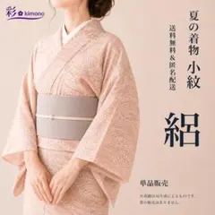 《S199》夏着物 絽 単衣 小紋 生成 えんじ色 単品 対象身長～163cm