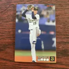 プロ野球チップスカードのみ