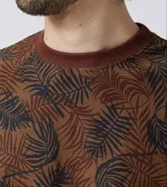 Item thumbnail for item a3186959-8fe4-4278-9c4f-ef555d4cfa5c