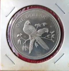 2025年最新】ベリーズ銀貨の人気アイテム - メルカリ