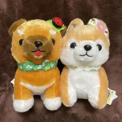 犬のぬいぐるみ 2体セット　豆しば三兄弟　ハッピークローバー