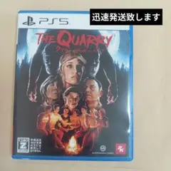 PS5 クアリー～悪夢のサマーキャンプ