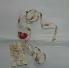 Item thumbnail for item 3f78072f-493c-4893-9587-282a547a317c