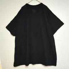 ヘインズ 無地 Tシャツ 半袖 3XL 黒 綿 普段着 ゆったり ビッグサイズのサムネイル